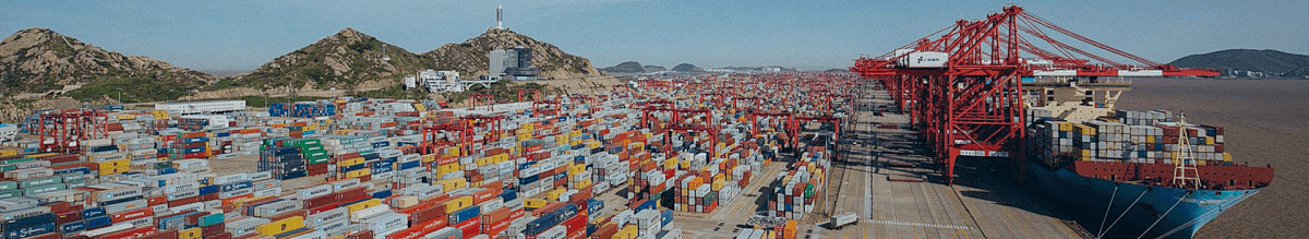 Full-Process Escort, Precision Delivery